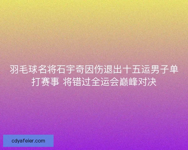 羽毛球名将石宇奇因伤退出十五运男子单打赛事 将错过全运会巅峰对决