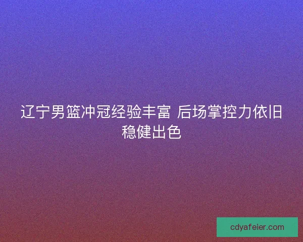 辽宁男篮冲冠经验丰富 后场掌控力依旧稳健出色