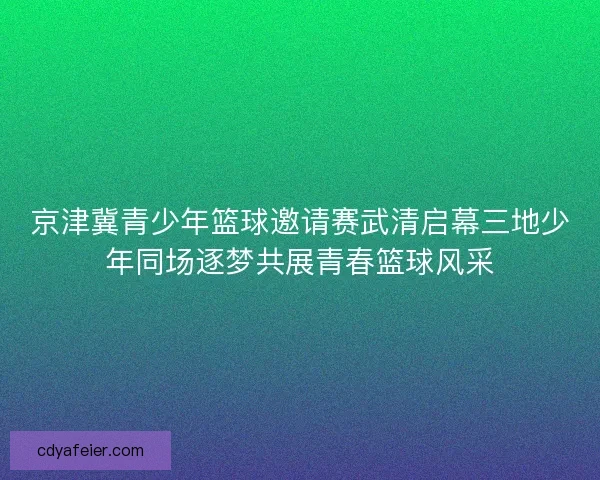 京津冀青少年篮球邀请赛武清启幕三地少年同场逐梦共展青春篮球风采