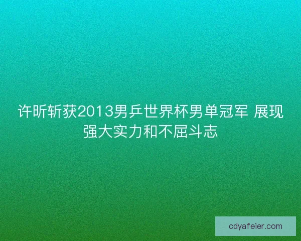 许昕斩获2013男乒世界杯男单冠军 展现强大实力和不屈斗志