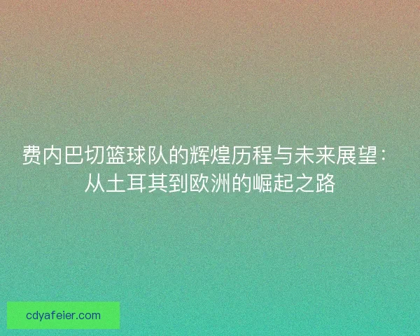 费内巴切篮球队的辉煌历程与未来展望：从土耳其到欧洲的崛起之路